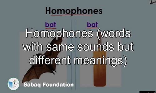 Homophones Words